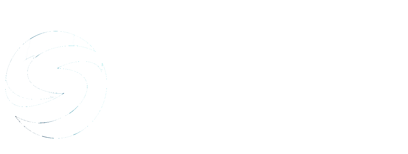 SeguroIMS Logo